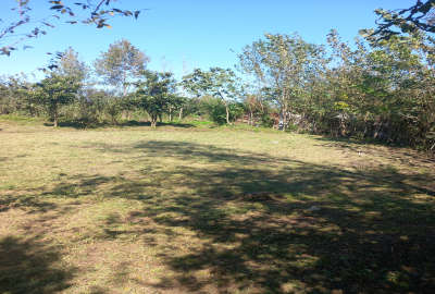 فروش ۱۰۰۰ متر خشکبیجار روستای ویشکا