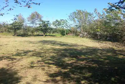 فروش ۱۰۰۰ متر خشکبیجار روستای ویشکا