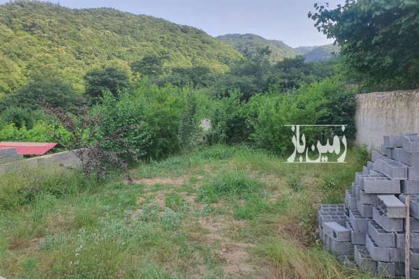 فروش زمین با ویو ابدی جنگل و دریا در بام شهر بهشهر-1