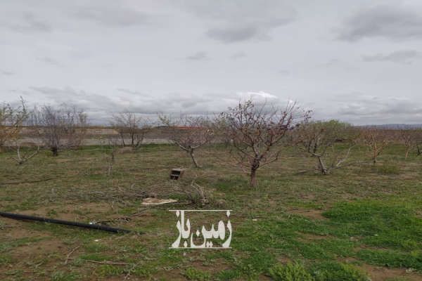 فروش زمین مرغوب صوفیان شبستر روستای زنگی-1
