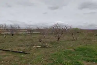 فروش زمین مرغوب صوفیان شبستر روستای زنگی