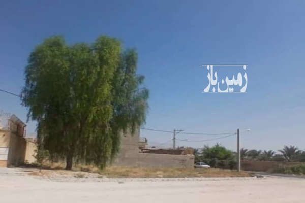 زمین دوبرخیابان باقابلیت تبدیل به تجاری کازرون ۳۱۶ متر-3