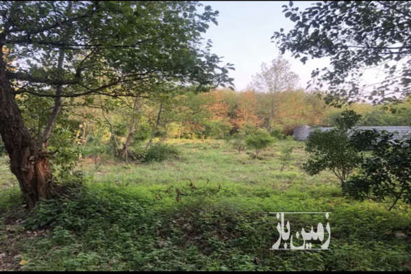 فروش زمین مسکونی سندار نزدیک به ۱۲۰۰متر-2