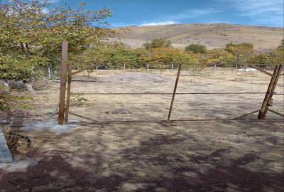 باغ هزار متری شمال غرب قزوین نرسیده به روستای بادمجین