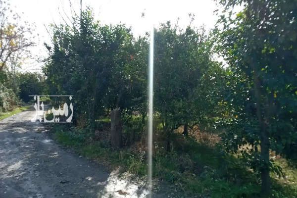 زمین باغی واقع در روستای باغدشت-1