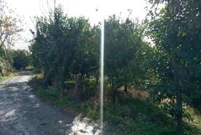 زمین باغی واقع در روستای باغدشت