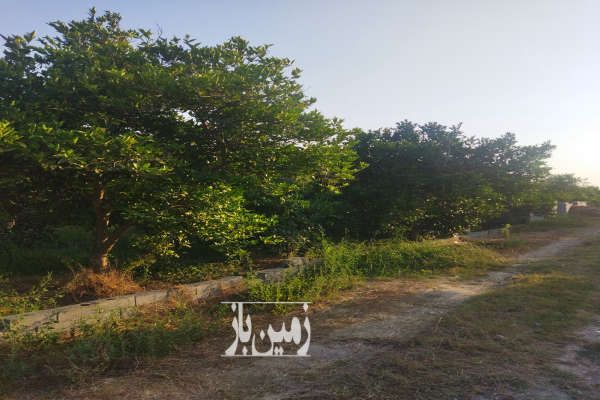 باغ در امام حسین قابل تهاتر با آپارتمان-1