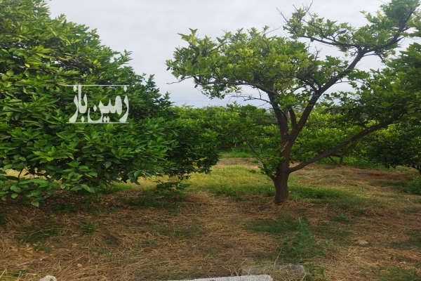 باغ در امام حسین قابل تهاتر با آپارتمان-4