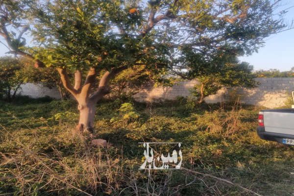 سیصد متر زمین جاده دریا ساری روستای سیدآباد-1