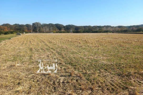 زمین خوش نقشه نزدیک بافت روستای بندافروز از شهر ساری-1