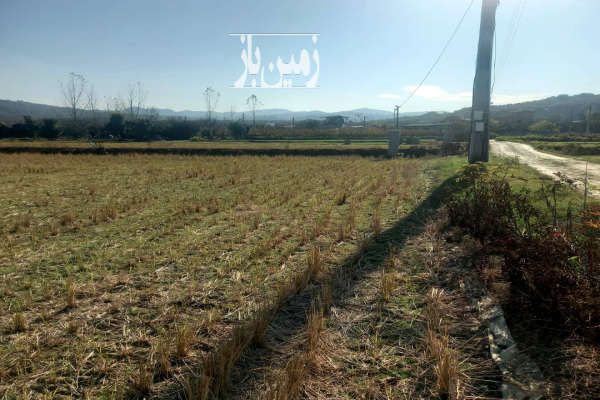 زمین خوش نقشه نزدیک بافت روستای بندافروز از شهر ساری-2