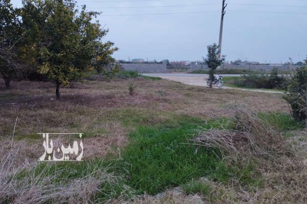 فروش زمین دو نبش نزدیک ساحل جاده دریا روستای سوته-1