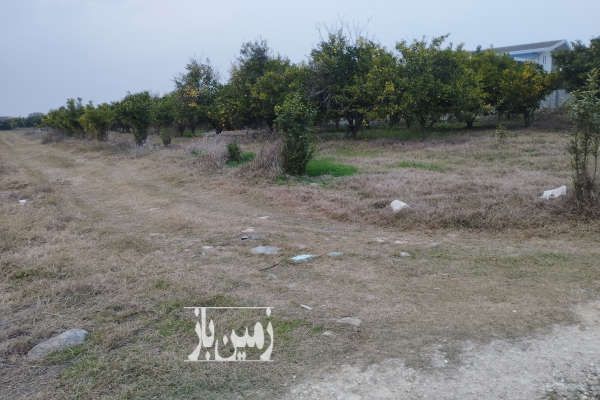 فروش زمین دو نبش نزدیک ساحل جاده دریا روستای سوته-2