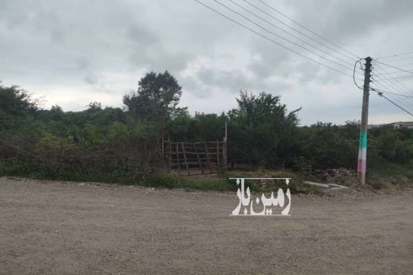 فروش زمین باغی قائم شهر روستای نوکلاه-2