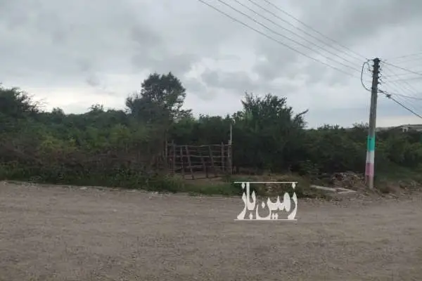 فروش زمین باغی قائم شهر روستای نوکلاه - تصویر 2