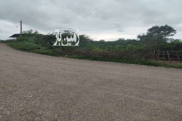 فروش زمین باغی قائم شهر روستای نوکلاه-3