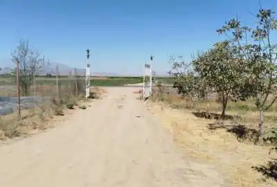 باغ انگور ۷۵۸۰ متر داربستی ۷ ساله