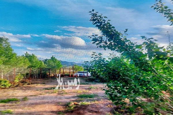 فروش ۴۵۰۰ باغ فنس کشی بخش مرکزی جاده همدان بیجار-1