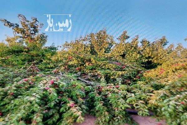 فروش ۴۵۰۰ باغ فنس کشی بخش مرکزی جاده همدان بیجار-2