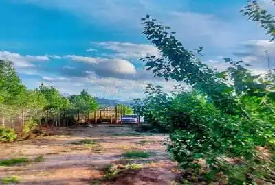 فروش ۴۵۰۰ باغ فنس کشی بخش مرکزی جاده همدان بیجار