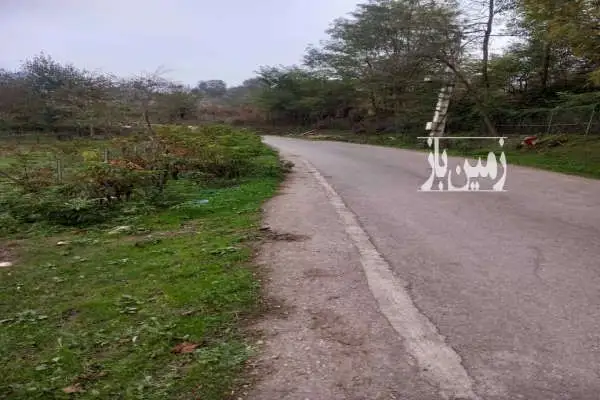 زمین در سوادکوه زیراب روستایی لاجیم - تصویر 2