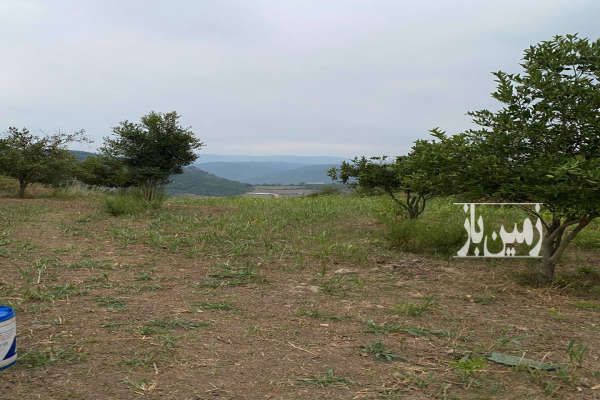 زمین باغی با موقعیتی ۱۰۰۰ متر-3