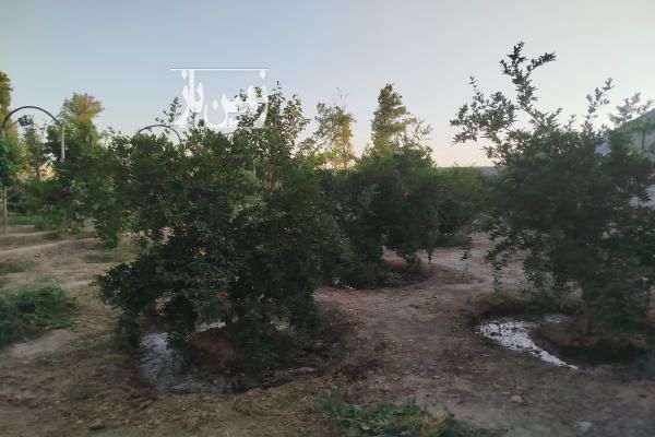 فروش باغچه در پیشوا کهنک بعد از کانال آب-2