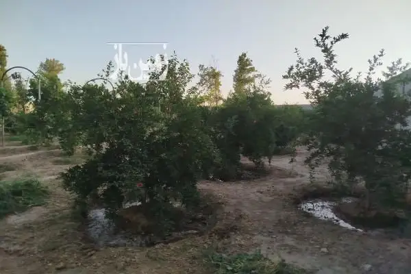 فروش باغچه در پیشوا کهنک بعد از کانال آب - تصویر 2