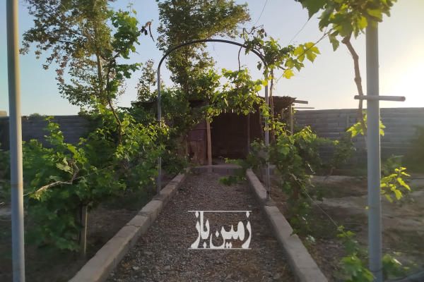 فروش باغچه در پیشوا کهنک بعد از کانال آب-3