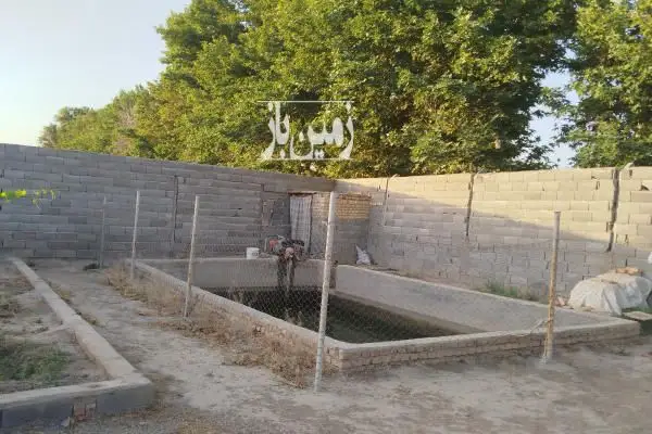 فروش باغچه در پیشوا کهنک بعد از کانال آب - تصویر 4