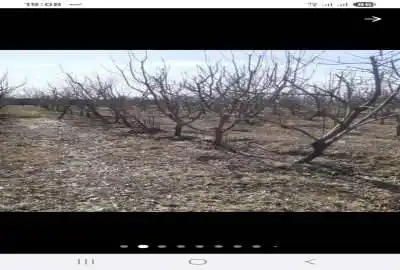 باغ ۱۰۰۰ متری واقع در ترشنبه چهاردانگه