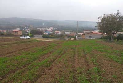 فروش زمین در روستای اسبوکلا جاده ساری نکا