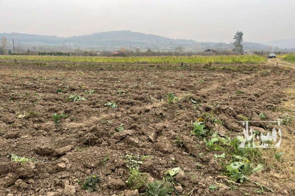 فروش زمین مازندران نکا بعد از روستای زرندین خیرآباد-3