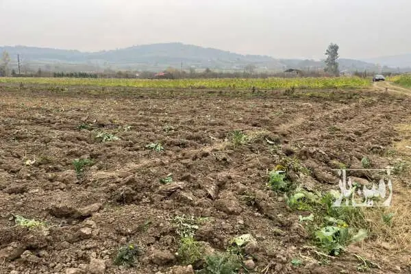 فروش زمین مازندران نکا بعد از روستای زرندین خیرآباد - تصویر 2