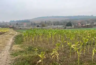 فروش زمین مازندران نکا بعد از روستای زرندین خیرآباد
