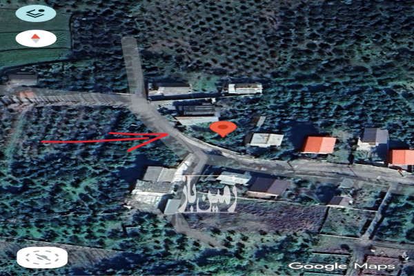 زمین سنددار مسکونی با مرکبات-2