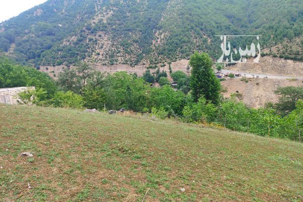 زمین ییلاقی یکشنبه بازار-1