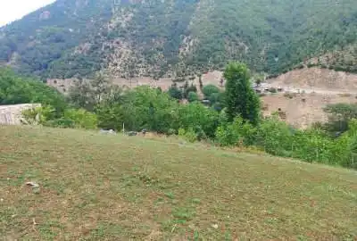 زمین ییلاقی یکشنبه بازار