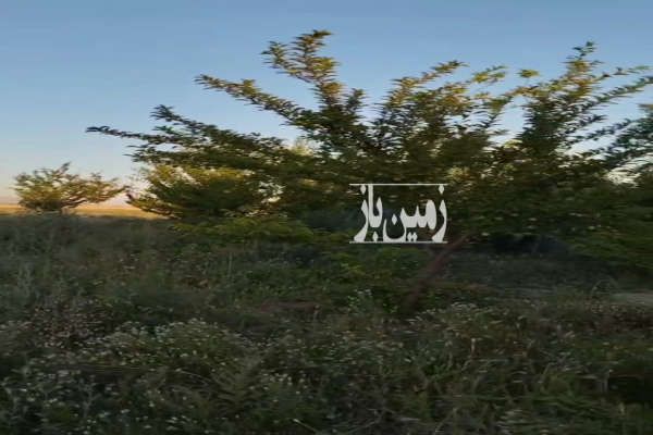 زمین با اب مدارو درختان میوه دار-1