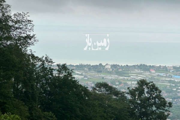 زمین با مجوز ساخت در بام رامسر کوله گاوی-1