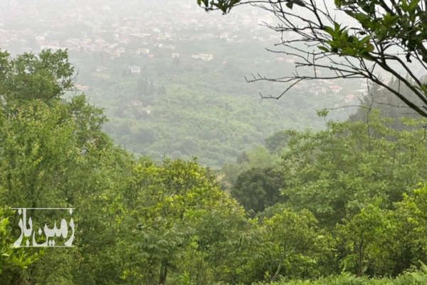 زمین با مجوز ساخت در بام رامسر کوله گاوی-2