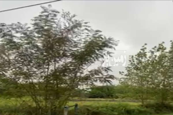 فروش زمین مسکونی در جاده آسفالته اشرفیه کیاشهر-1