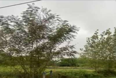 فروش زمین مسکونی در جاده آسفالته اشرفیه کیاشهر
