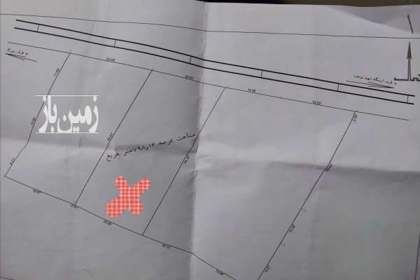 باغ مرکبات پرتقال نارنگی سورک ۱۰ کیلومتری شهر ساری-3