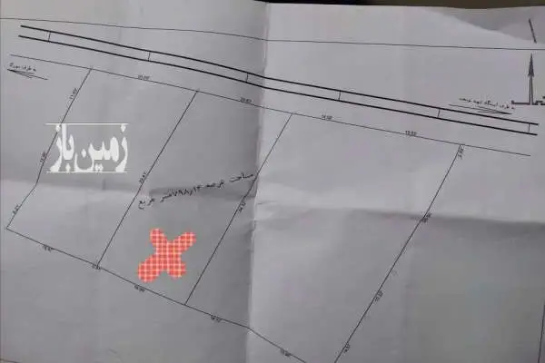 باغ مرکبات پرتقال نارنگی سورک ۱۰ کیلومتری شهر ساری - تصویر 3