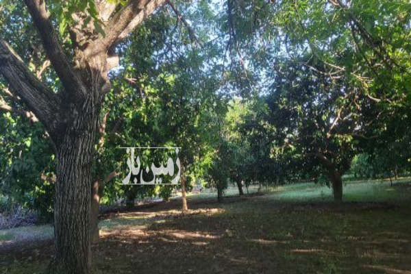 فروش یه قطعه زمین داخل بافت مرکز باغشهر ارطه-4