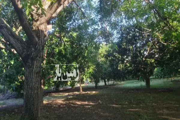فروش یه قطعه زمین داخل بافت مرکز باغشهر ارطه - تصویر 4