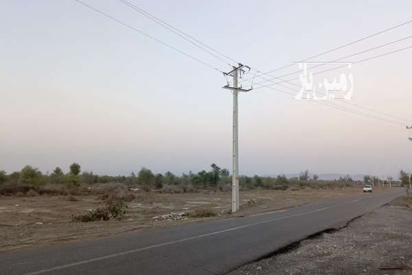زمین کشاورزی ۶۰ هکتاری میناب روستای چلوگاومیشی-1