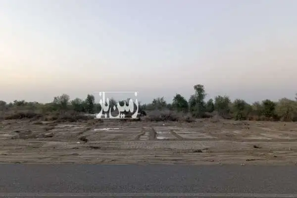 زمین کشاورزی ۶۰ هکتاری میناب روستای چلوگاومیشی - تصویر 2