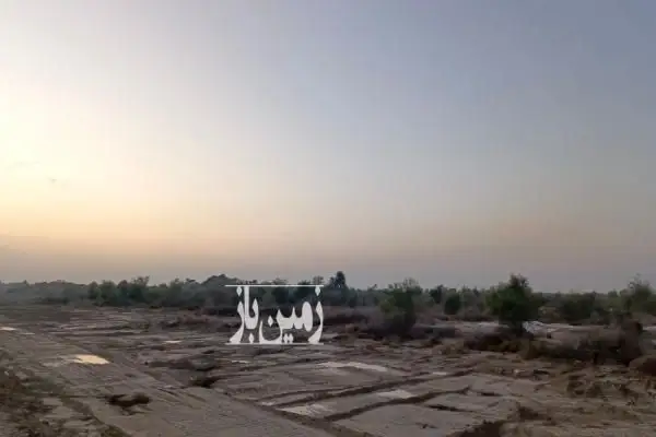 زمین کشاورزی ۶۰ هکتاری میناب روستای چلوگاومیشی - تصویر 3